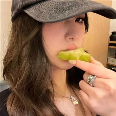 吸血蝙蝠 高清封面