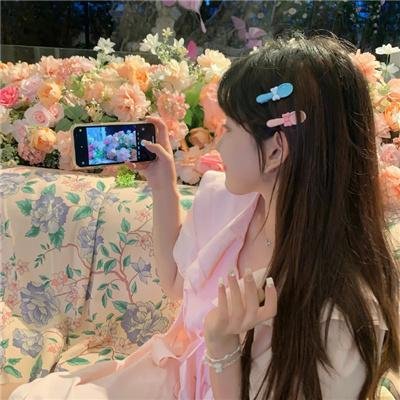 祇羡鸳鸯不羡仙 高清封面